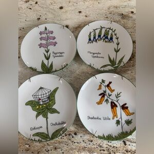 Vintage  Decorative Plates Set